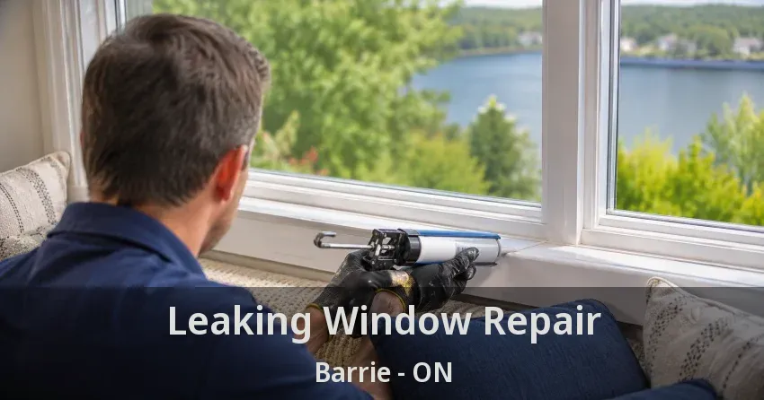 Leaking Window Repair Barrie - ON