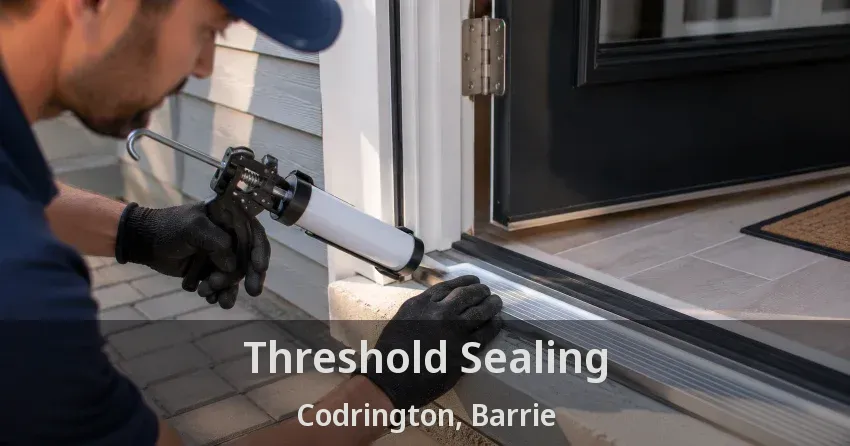 Threshold Sealing Codrington, Barrie - ON